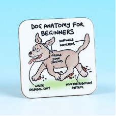 5276 Coaster-DOG ANATOMY